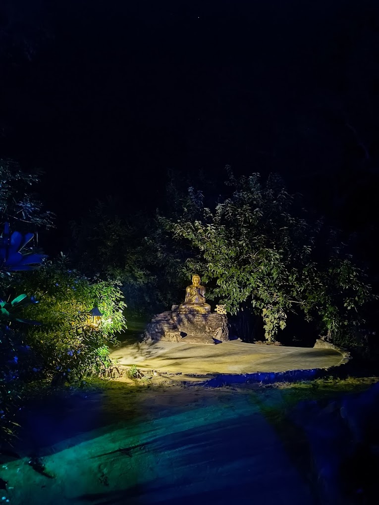 Yoga and Meditation