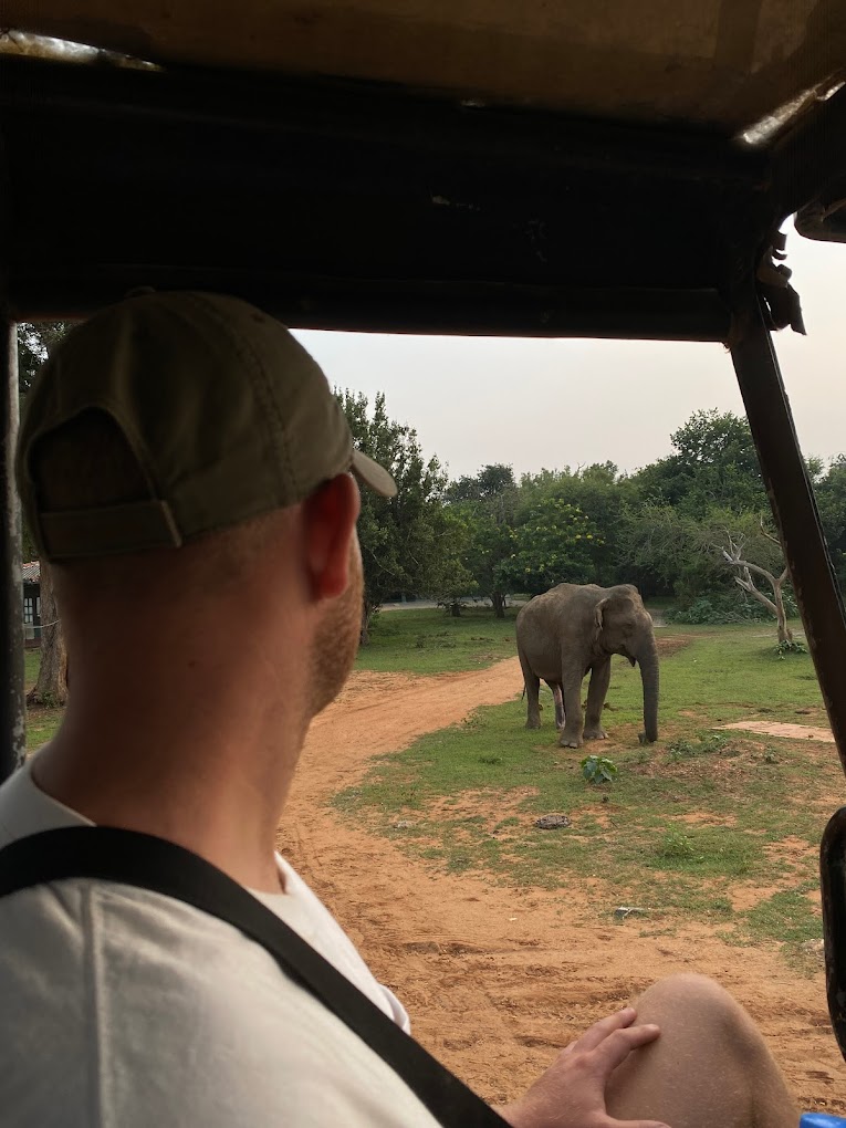 Yala Safari
