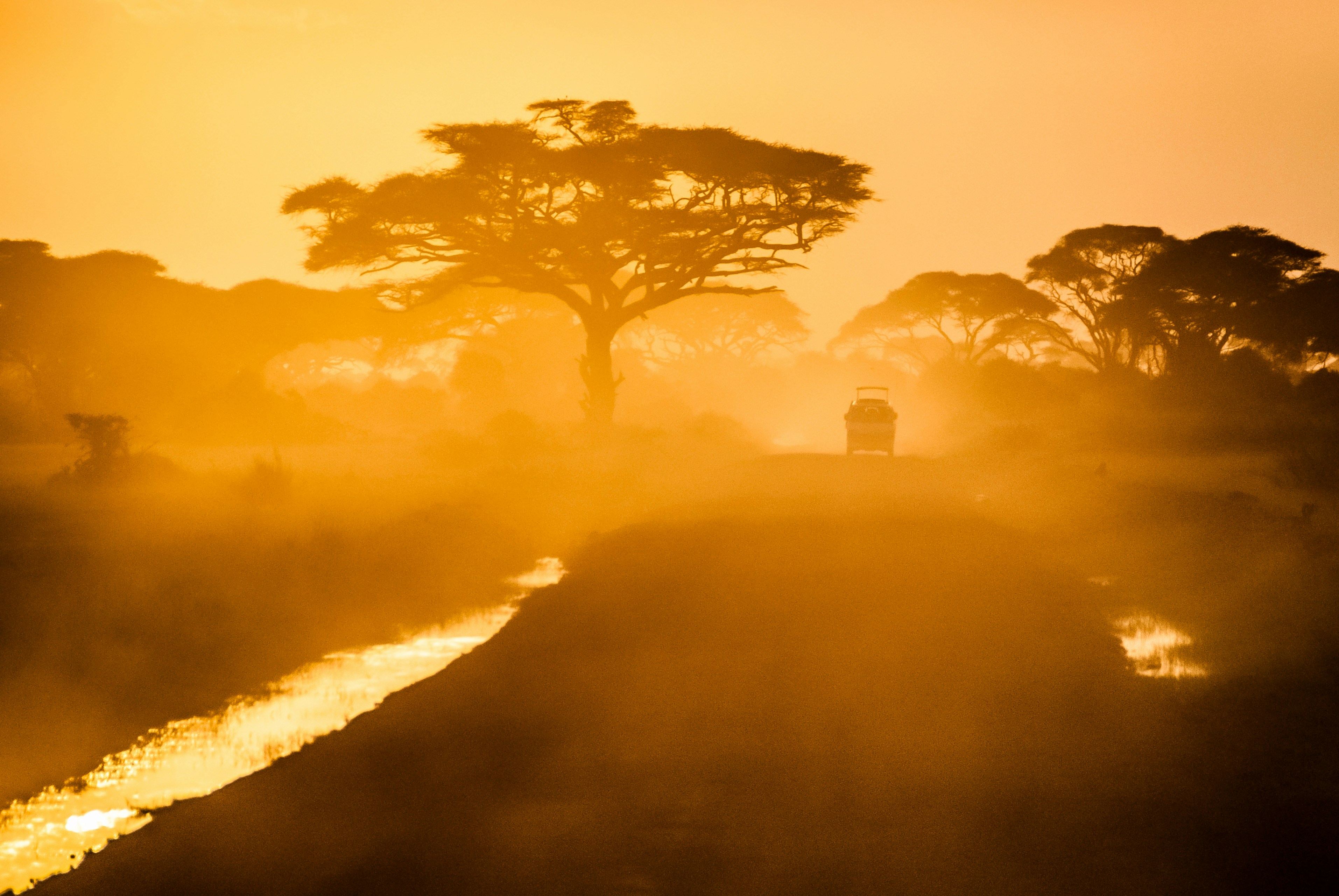 Yala Safari with leopard