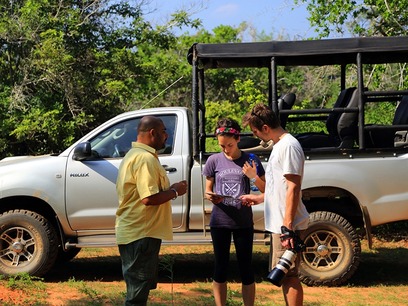 Booking Safari
